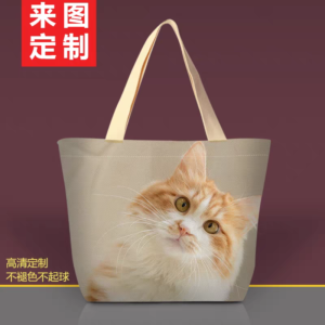 Cat Carrier
