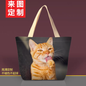 Cat Carrier xl